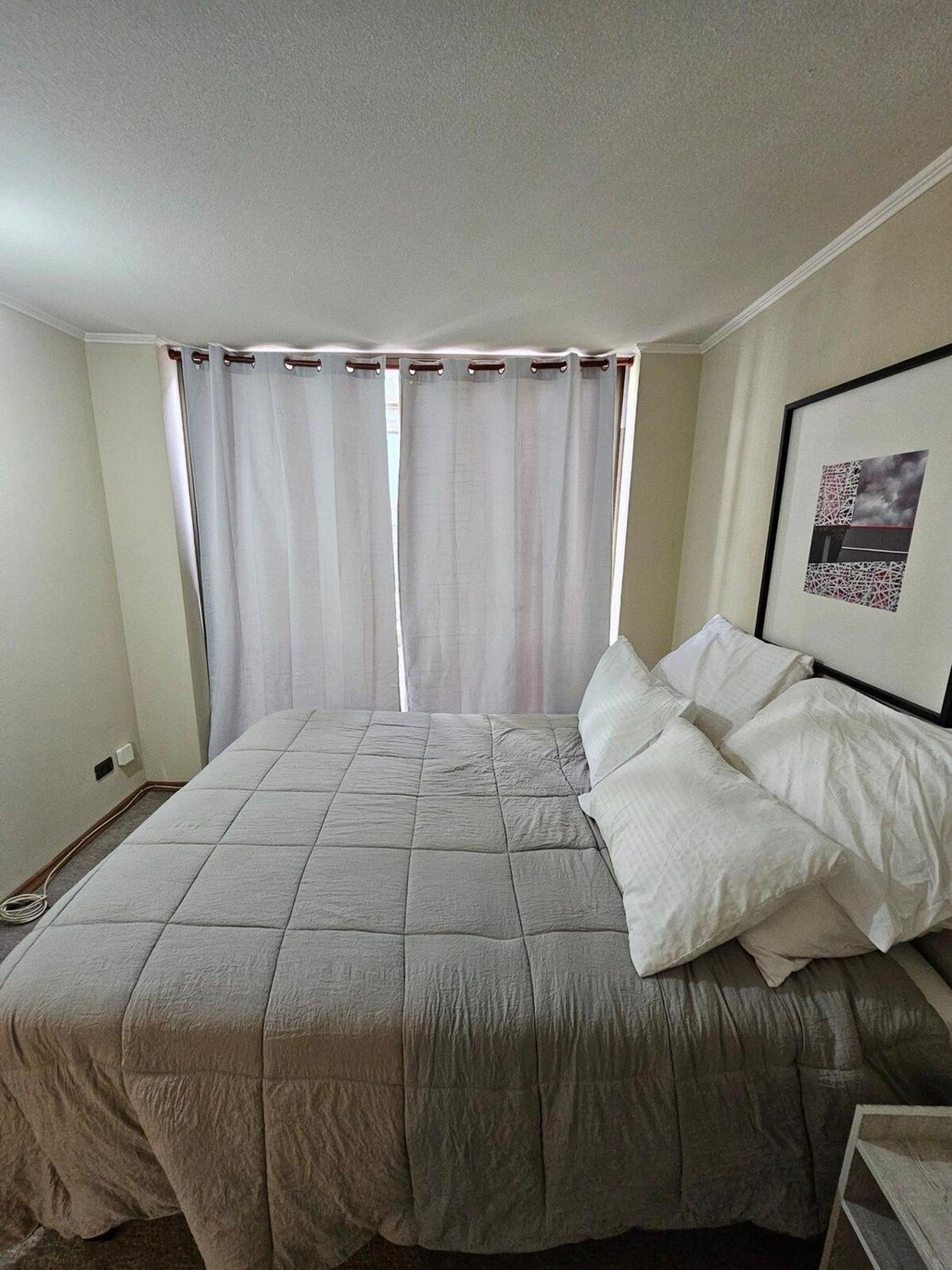Bellavista Apartrent Сантьяго Экстерьер фото