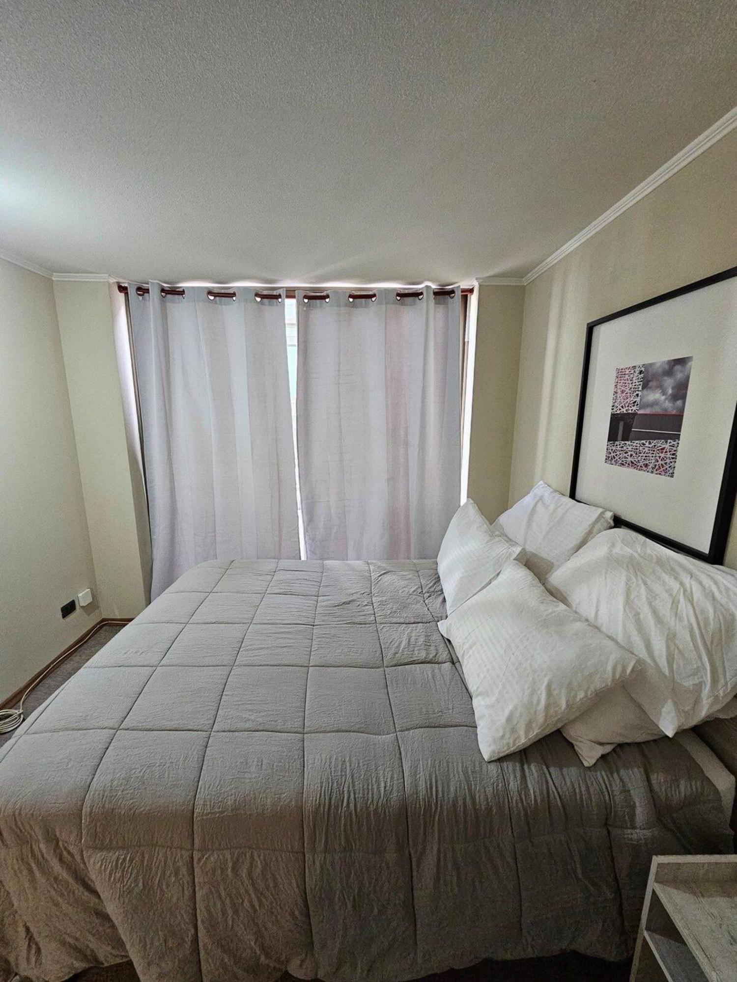 Bellavista Apartrent Сантьяго Экстерьер фото