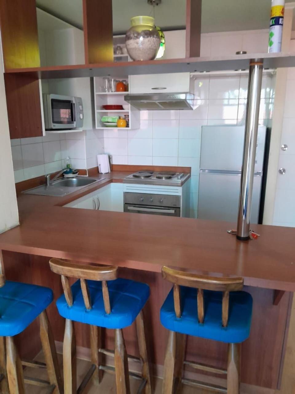 Bellavista Apartrent Сантьяго Экстерьер фото